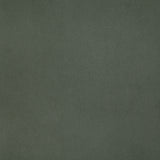 Philemon Indoor Pillow Dark Sage By Renwil