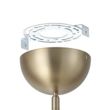 Sinclair 20-inch Champagne Gold and Black Faux Leather 5CCT LED Convertible Pendant