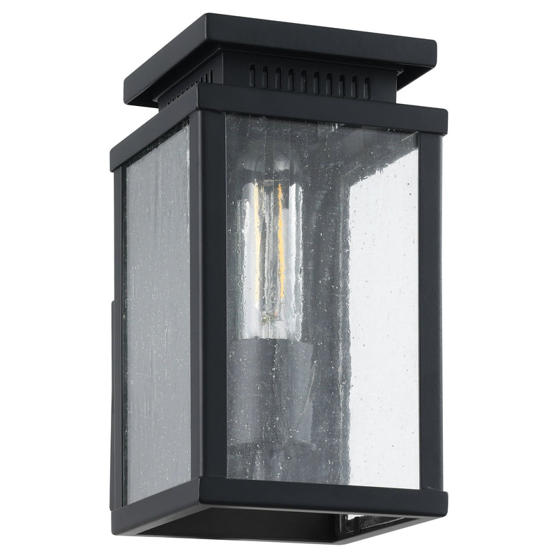 Overton 9-inch 1-light Matte Black Exterior Wall Sconce with Clear Antique Glass