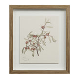 Crema Medium Walnut By Renwil