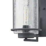 Taplow 18-inch 1-light Weathered Zinc Exterior Wall Sconce with Clear Seeded Glass Shade
