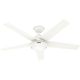 Hunter Skyflow Ceiling Fan with LED Light