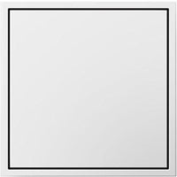 Adorne 15A One-Gang Pop-Out Outlet by Legrand Adorne, Color: White, ,  | Casa Di Luce Lighting