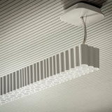 Calipso Linear Suspension By Artemide