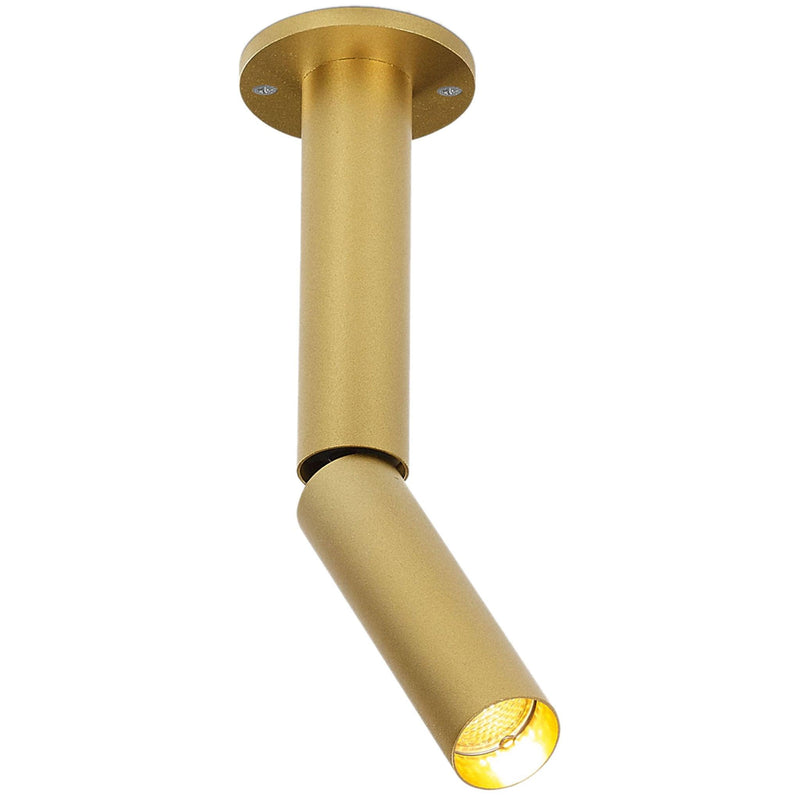 Flemish Gold Needle 1 OK Ceiling Light by Delta Light