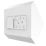 Adorne Control Box with Paddle Dimmer and 15A GFCI Outlet By Legrand Adorne Matte Finish