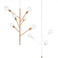 Baobab Pendant Light By Modo Luce