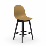 Academy CB1672 Polypropylene Counter Stool with Wooden Legs by Connubia