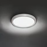Argo Wall / Ceiling Light by Modern Forms