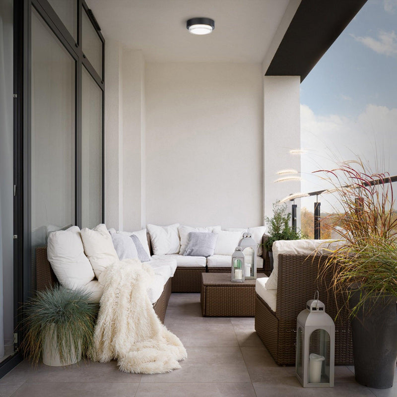 Black Kind Outdoor Ceiling Light by Modern Forms