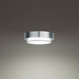 Stainless Steel Kind Outdoor Ceiling Light by Modern Forms