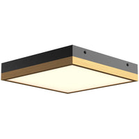 Aged Gold/Matte Black Small Sydney Two Tone Ceiling Light by Alora