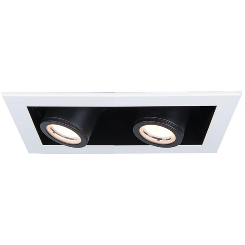 White/Black Silo Multiples 2 Light Trimmed Recessed Light by W.A.C. Lighting