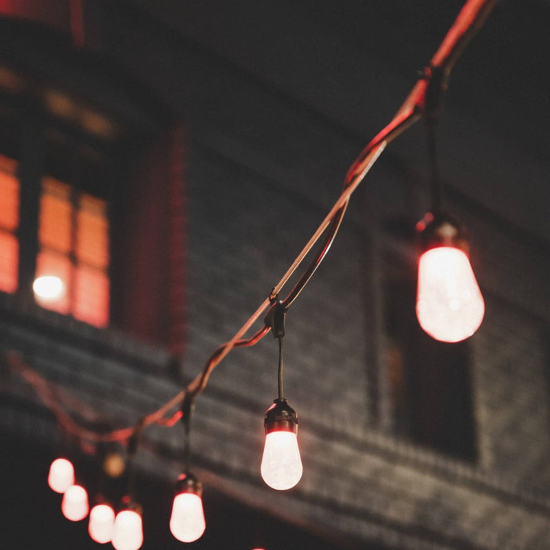 Orion 48 RGB CCT Outdoor String Light Pro By Dals String Light