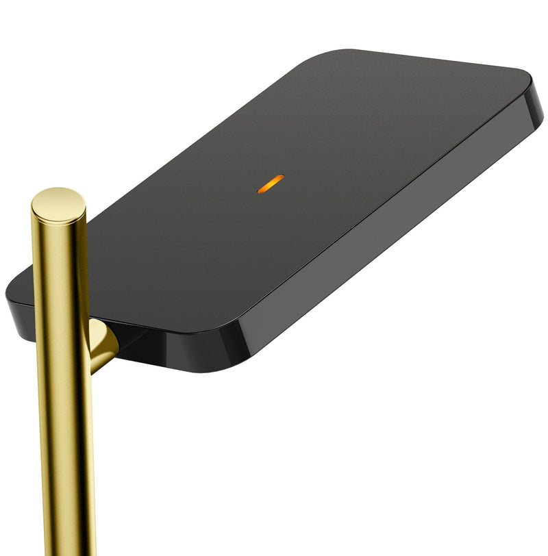 Black-Brass Talia Table Lamp by Pablo