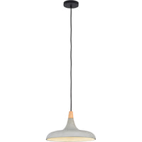Viola May Pendant Light By Renwil