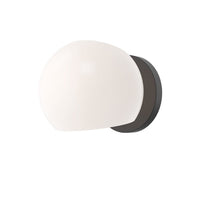 Willow Vanity Light By Alora - 1 Light Matte Black Color with Opal Matte Glass