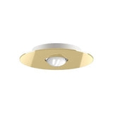Bugia Ceiling Light by Lodes, Finish: Gold, Size: Small,  | Casa Di Luce Lighting