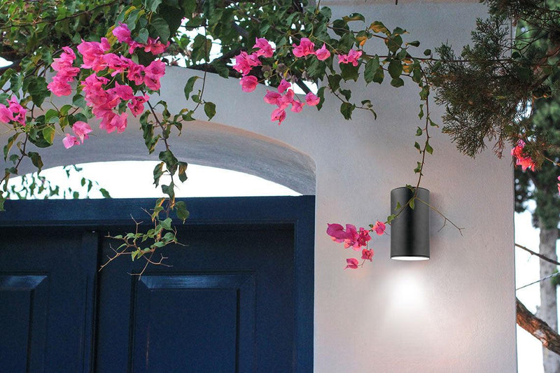 Ascoli Outdoor Wall Light by Eglo, Size: Small, Large, Finish: Stainless Steel, Black,  | Casa Di Luce Lighting