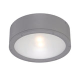 Graphite Tube LED Ceiling Mount by WAC Lighting