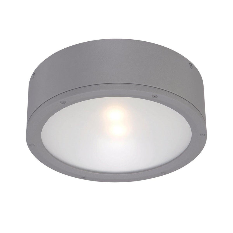 Graphite Tube LED Ceiling Mount by WAC Lighting