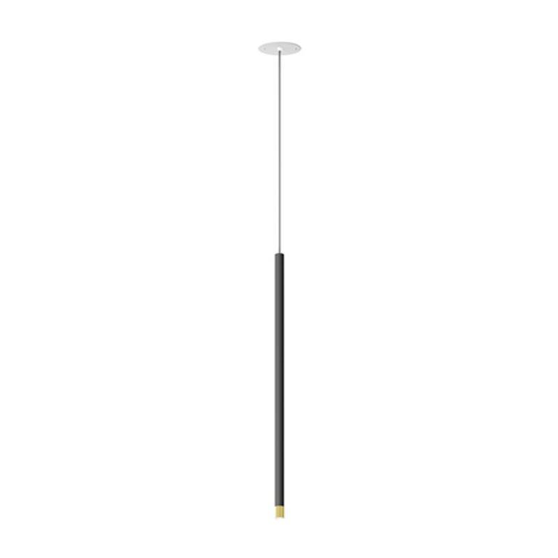Anthracite Grey / Polished Gold Virtus Suspension by Axo Light
