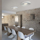 Roma Ceiling Light in meeting room
