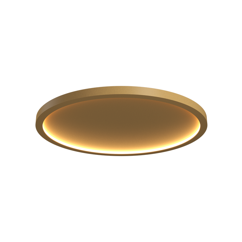 Naia Edge Lit Ceiling Light - Gold