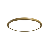Naia Ceiling Light - Pale Gold